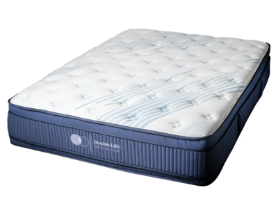 Dreamstar Bedding Double Life Gel Plush 2-Sided Euro Top Twin Mattress - Double Life Gel ET (Twin)