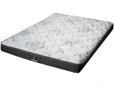Dreamstar Perfect Dreamer Tight Top Queen Mattress - Perfect Dreamer (Q)