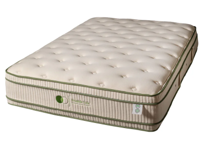 Dreamstar Bedding Double Life Latex Plush Euro Top Twin XL Mattress - Double Life Latex ET (Twin XL)